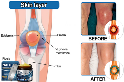 Celsiora® NAD+ Advanced Anti-Aging Joint Relief Cream (Ease Arthritis • Calm Nerve & Muscle Pain)