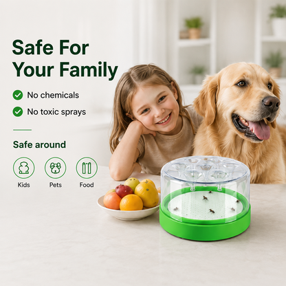 upsell 🪰 Reusable Non-Electric Fly & Mosquito Trap – Safe, Durable🏡