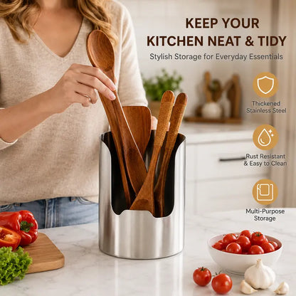 🔥50% OFF Today🍽️ Premium Stainless Steel Kitchen Counter Organizer upsell
